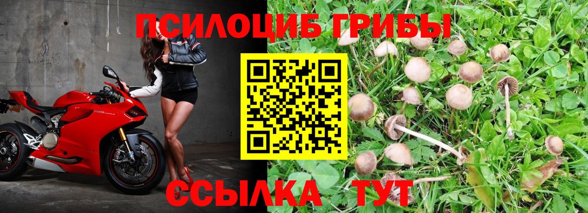 Галлюциногенные грибы Magic Shrooms Карталы