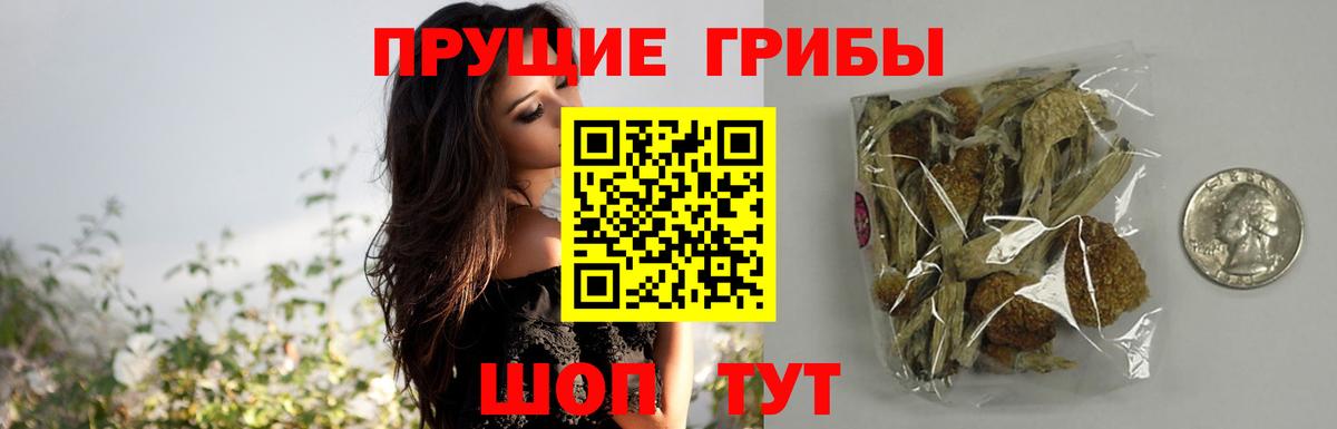 Псилоцибиновые грибы мухоморы  Псилоцибиновые грибы Cubensis  Карталы  Вход с VPN 